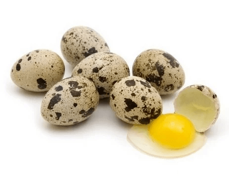 Quail eggs